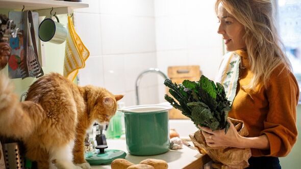 woman cat dinner party reddit 